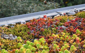 the cost of Sittingbourne green roof installation