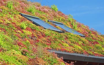 Sittingbourne living roof systems